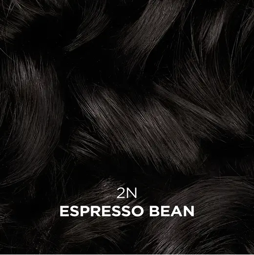 Clairol Beautiful Collection Advanced Gray Solution 2N Espresso Bean 88 mL