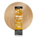 L’Oreal Excellence HiColor H14 Vanilla Champagne For Dark Hair Only
